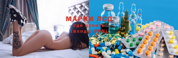 хмурый Алексин