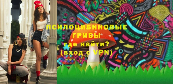 хмурый Алексин