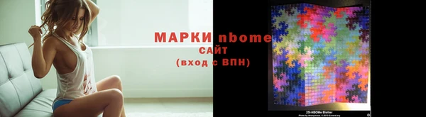 хмурый Алексин