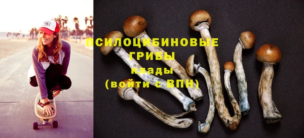 хмурый Алексин