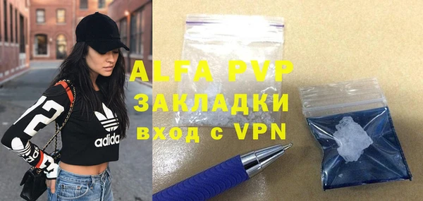хмурый Алексин