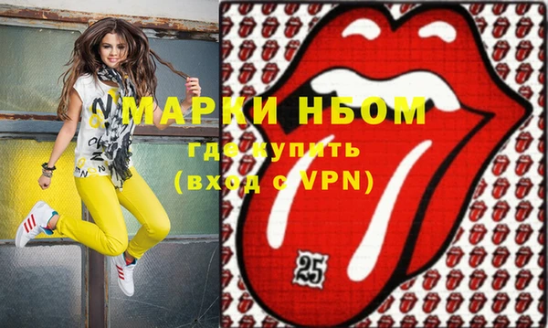 хмурый Алексин