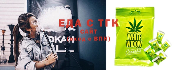 хмурый Алексин